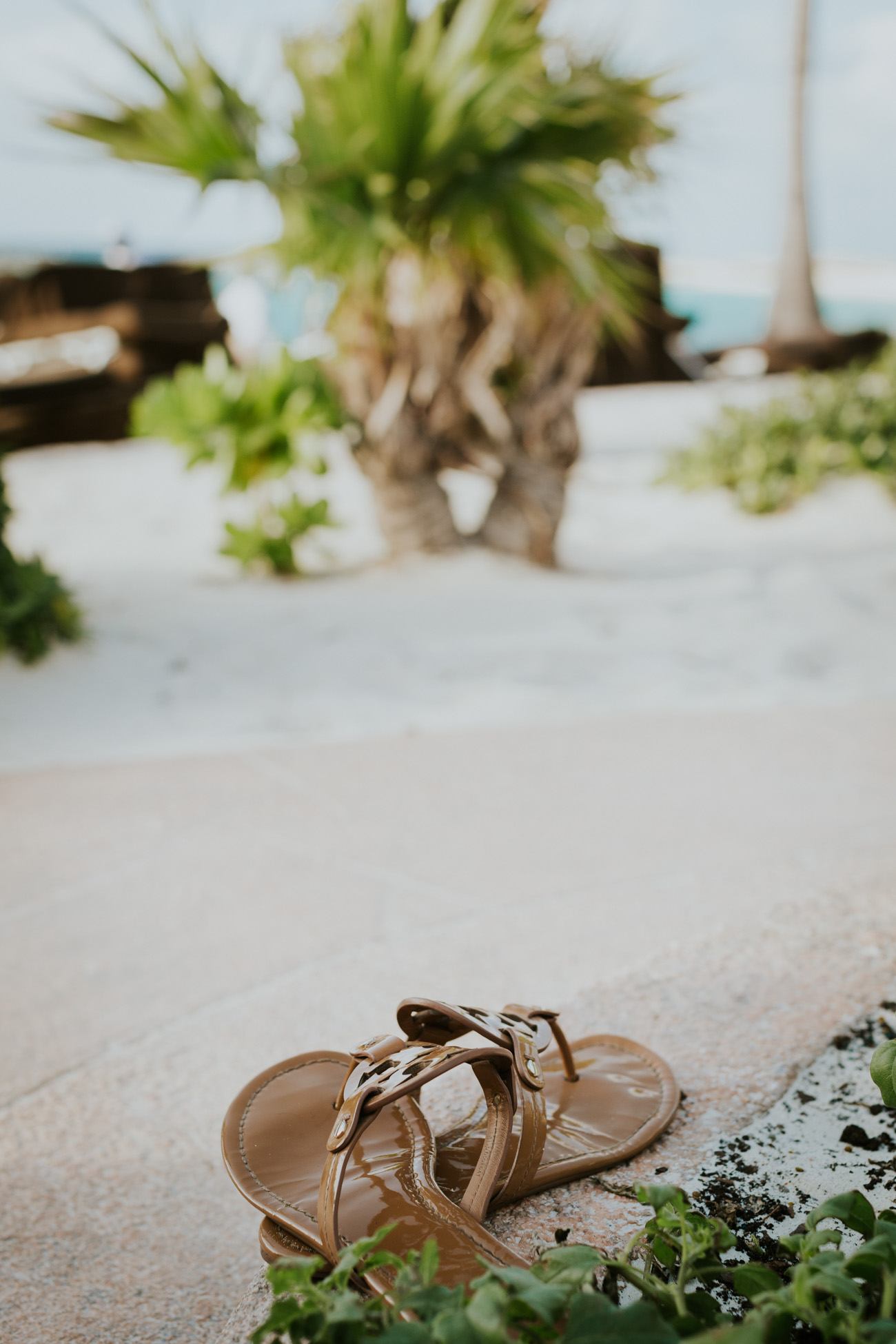 summer swim favorites, swim pieces, nordstrom swim, nordstrom sandals, vacation swim, vacation swim style, vacation pool style, pool fashion, beachy, beach side, Favorite Summer Swimsuits and Beach Accessories, summer bikinis, vacation bikini, vacation one piece, one piece swimsuit, swim coverup, beach bag, straw beach bag, straw beach tote // grace wainwright a southern drawl